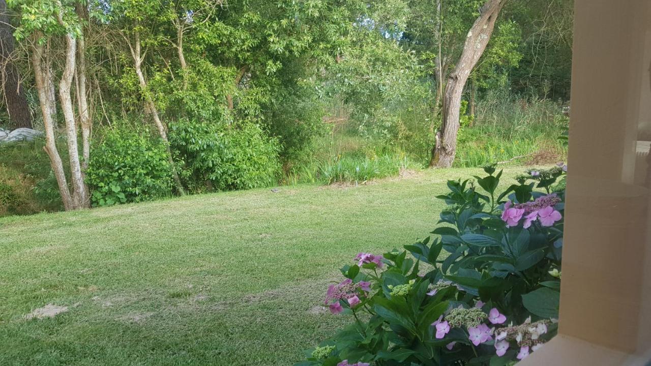 Casa Da Mata Villa Praia de Mira Eksteriør bilde