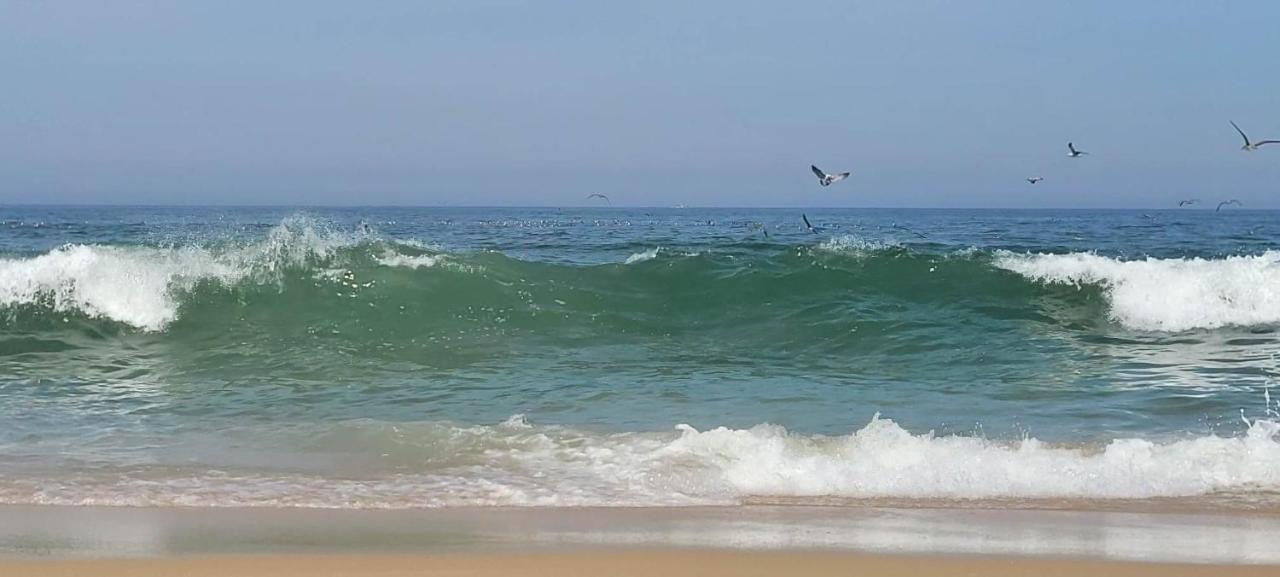 Casa Da Mata Villa Praia de Mira Eksteriør bilde