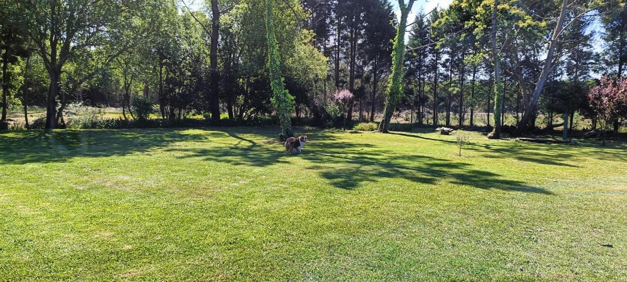 Casa Da Mata Villa Praia de Mira Eksteriør bilde