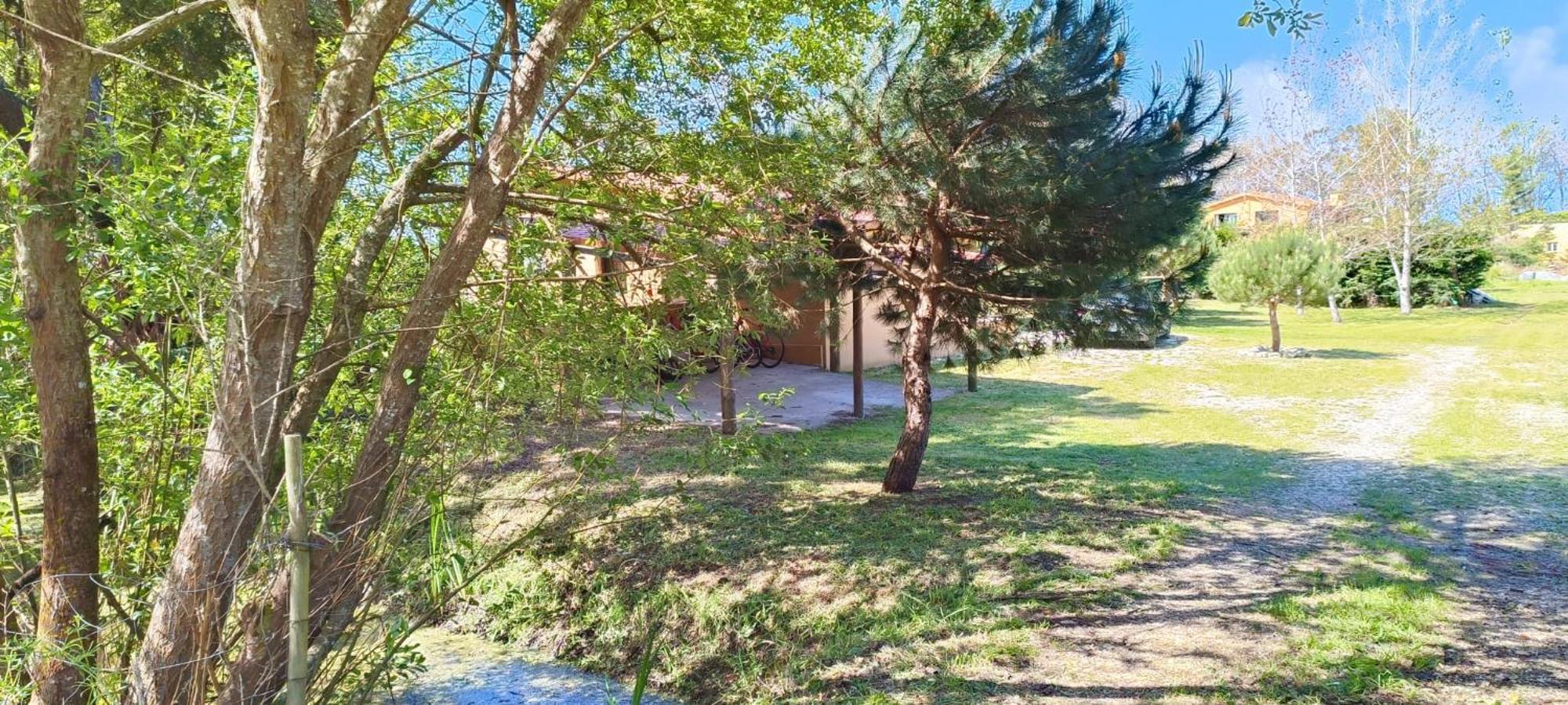 Casa Da Mata Villa Praia de Mira Eksteriør bilde